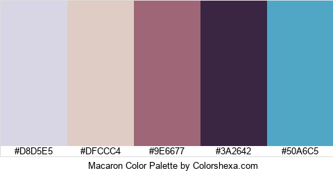 Macaron Color Colors Logo