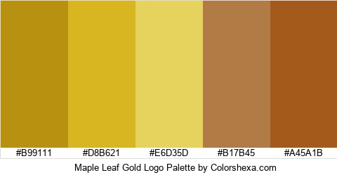 Maple Leaf Gold Logo Colors Logo