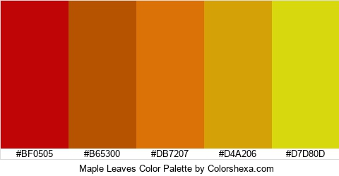 Maple Leaves Color Colors Logo