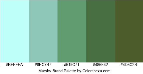 Marshy Brand Colors Logo