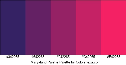 Maryyland Palette Colors Logo