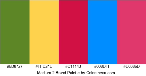 Medium 2 Brand Colors Logo