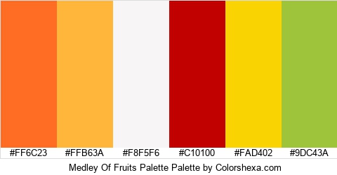 Medley Of Fruits Palette Colors Logo