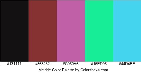 Meidrie Color Colors Logo