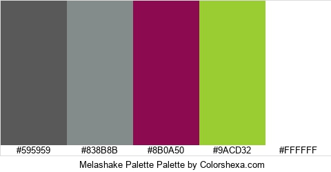 Melashake Palette Colors Logo