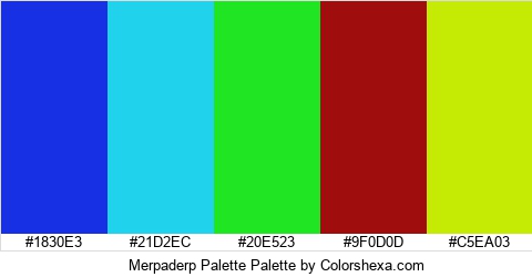 Merpaderp Palette Colors Logo