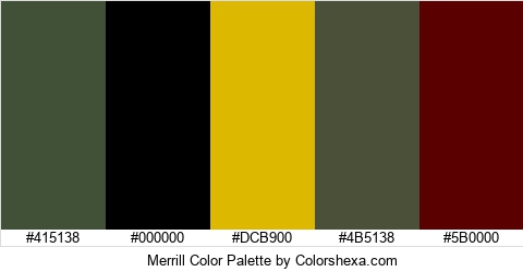 Merrill Color Colors Logo