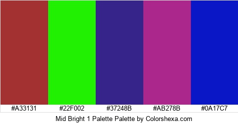 Mid Bright 1 Palette Colors Logo
