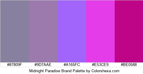 Midnight Paradise Brand Colors Logo