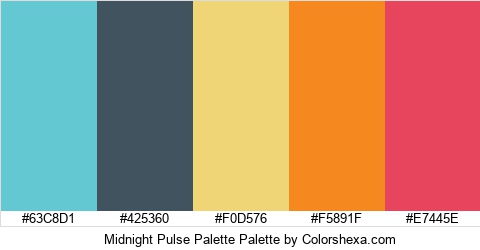 Midnight Pulse Palette Colors Logo