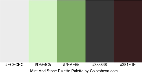 Mint And Stone Palette Colors Logo