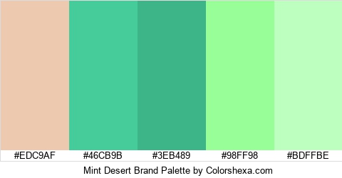 Mint Desert Brand Colors Logo