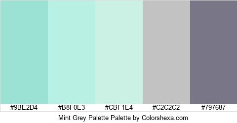 Mint Grey Palette Colors Logo