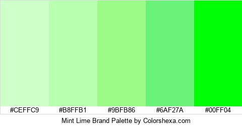 Mint Lime Brand Colors Logo