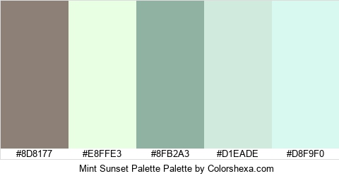 Mint Sunset Palette Colors Logo