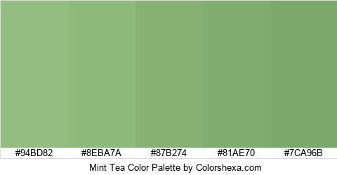 Mint Tea Color Colors Logo