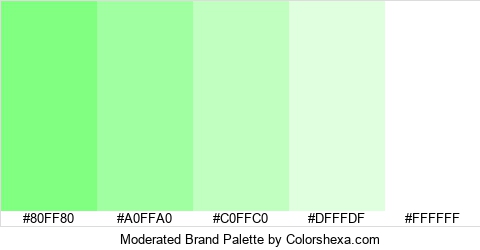 Moderated Brand Colors Logo