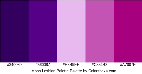 Moon Lesbian Palette Colors Logo