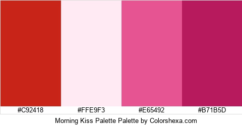 Morning Kiss Palette Colors Logo