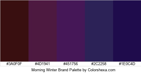 Morning Winter Brand Colors Logo
