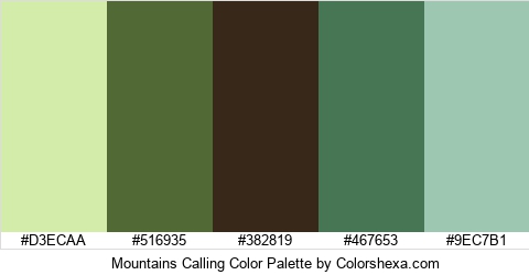 Mountains Calling Color Colors Logo