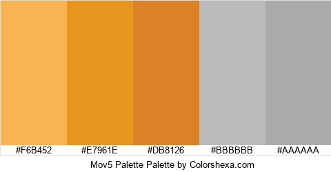 Mov5 Palette Colors Logo