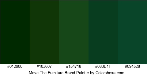 Move The Furniture Brand Colors Logo