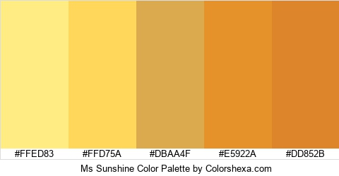 Ms Sunshine Color Colors Logo