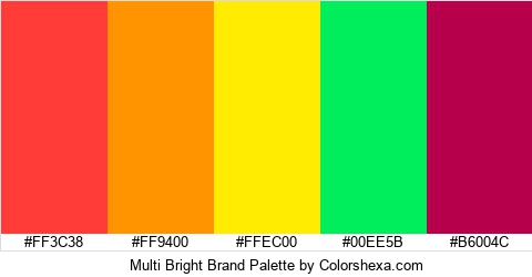 Multi Bright Brand Colors Logo