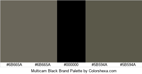 Multicam Black Brand Colors Logo