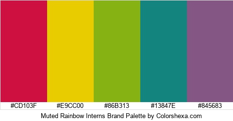 Muted Rainbow Interns Brand Colors Logo