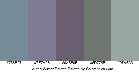 Muted Winter Palette Colors Logo