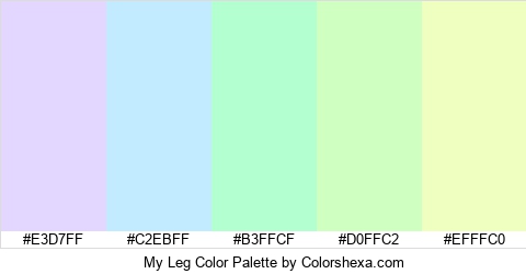 My Leg Color Colors Logo