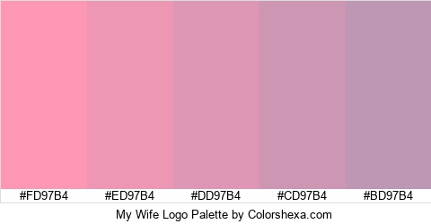 My Wife Logo Colors Logo