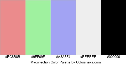 Mycollection Color Colors Logo
