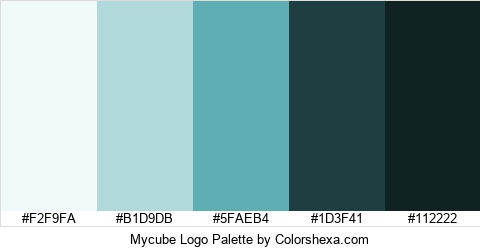 Mycube Logo Colors Logo
