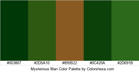 Mysterious Man Color Colors Logo