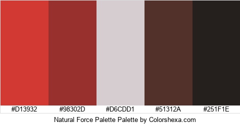 Natural Force Palette Colors Logo