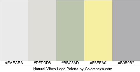 Natural Vibes Logo Colors Logo