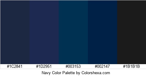 Navy Color Colors Logo