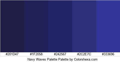 Navy Waves Palette Colors Logo