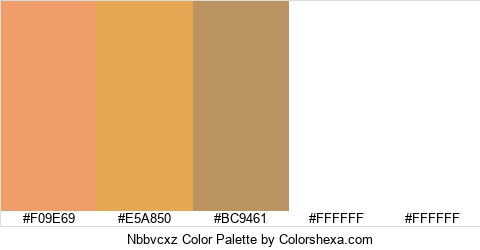 Nbbvcxz Color Colors Logo