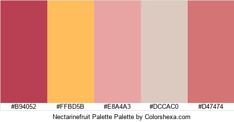 Nectarinefruit Palette Colors Logo