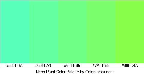 Neon Plant Color Colors Logo