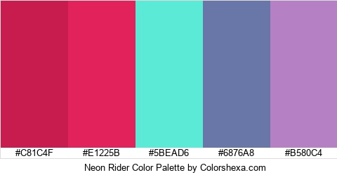 Neon Rider Color Colors Logo