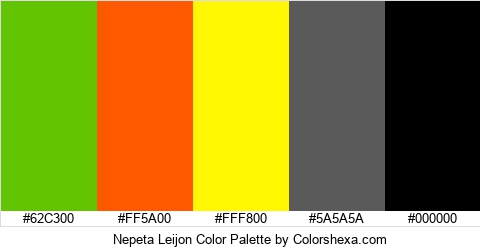 Nepeta Leijon Color Colors Logo