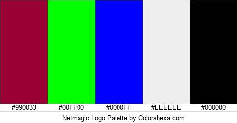 Netmagic Logo Colors Logo