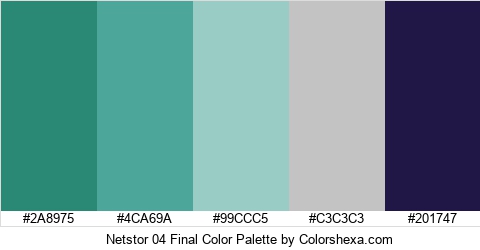 Netstor 04 Final Color Colors Logo
