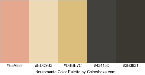Neuromante Color Colors Logo