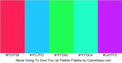 Never Going To Give You Up Palette Colors Logo